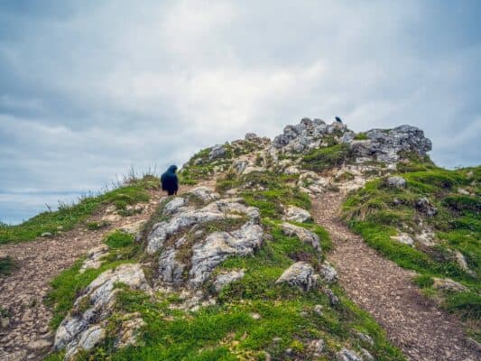 Stjenovit planinski teren sa planinarskim stazama kod planinarskog doma Erjavčeva, Slovenija, tokom oblačnog vremena.