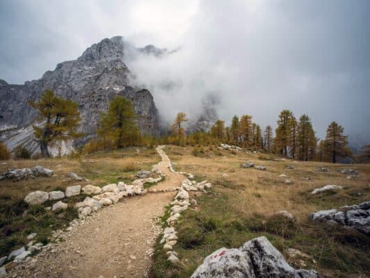 Stijena sa oznakom staze ispred šumskog i planinskog pejzaža, planinarska staza u blizini planinarskog doma Erjavčeva, Slovenija.