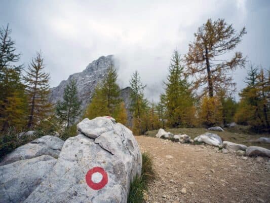 Stijena sa oznakom staze ispred šumskog i planinskog pejzaža, planinarska staza u blizini planinarskog doma Erjavčeva, Slovenija.