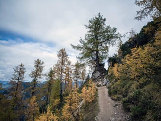 Bujna planinska staza koja vodi do Erjavčeve planinarske kuće u slikovitom alpskom krajoliku.