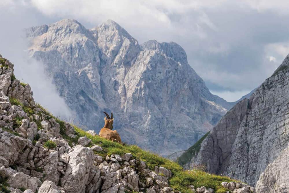 Kalendar Među planinama za 2026. godinu